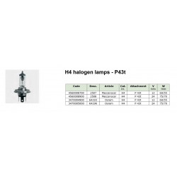 Halogen H4 light bulb