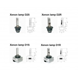 Xenon light bulb 5 versions